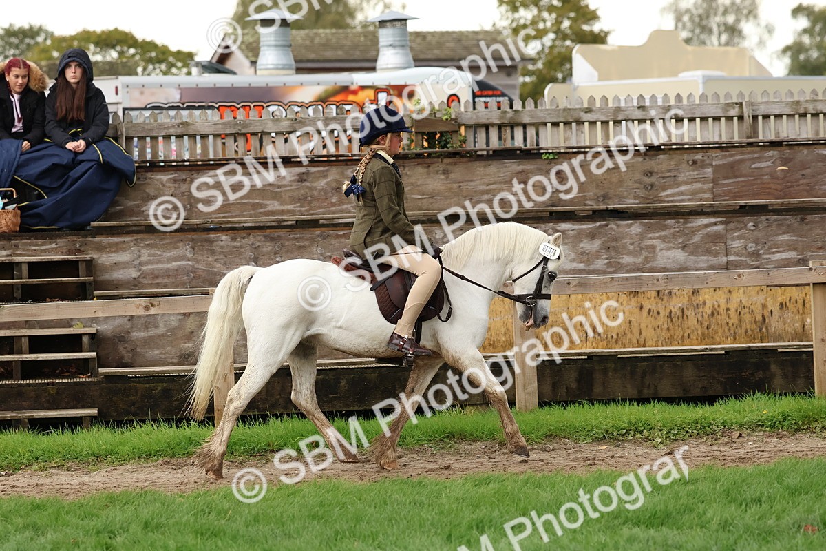 SBM_44959 - S27 - Young Veteran Ridden