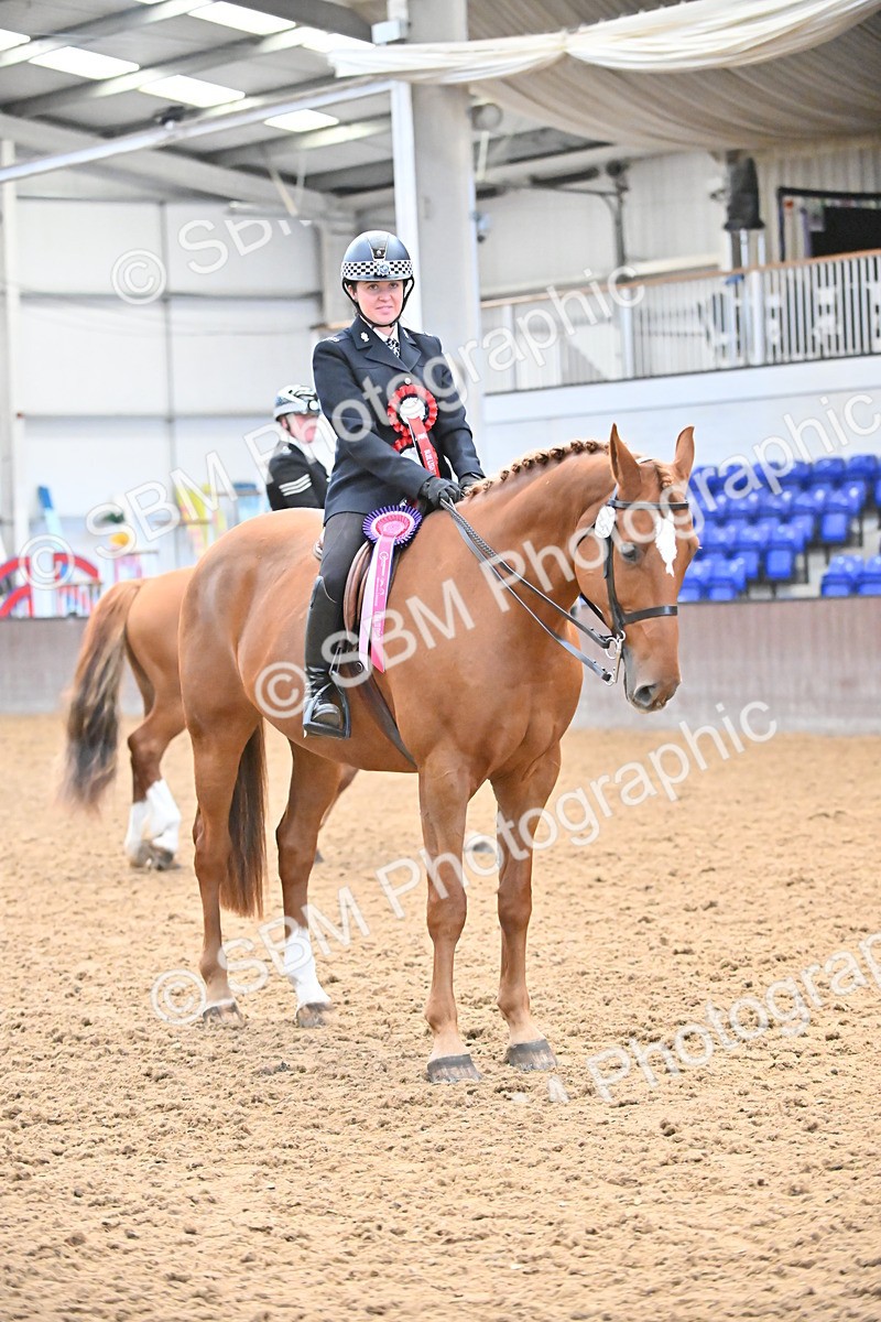 SBM_002703 - Ridden Showing Supreme Championships
