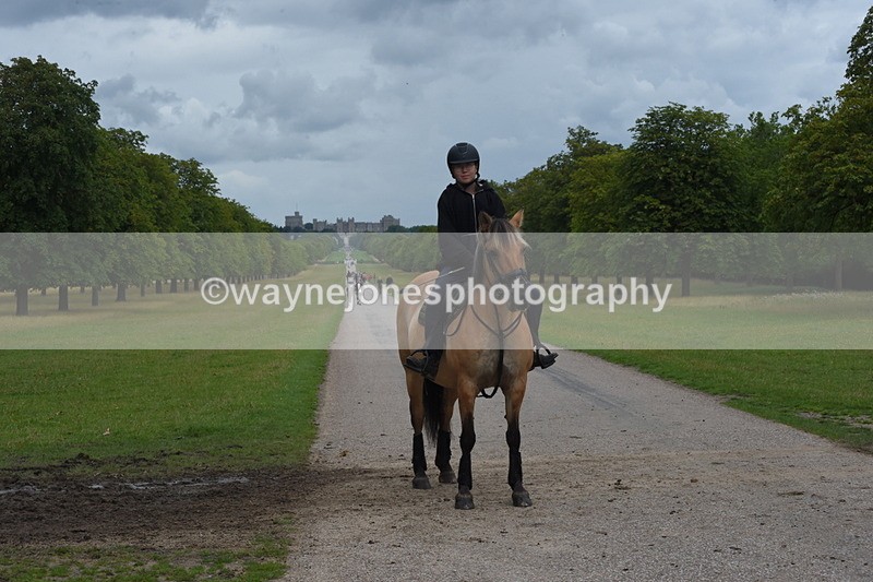 TT3_9872 - Time at Crossing 11:28 to 13:16