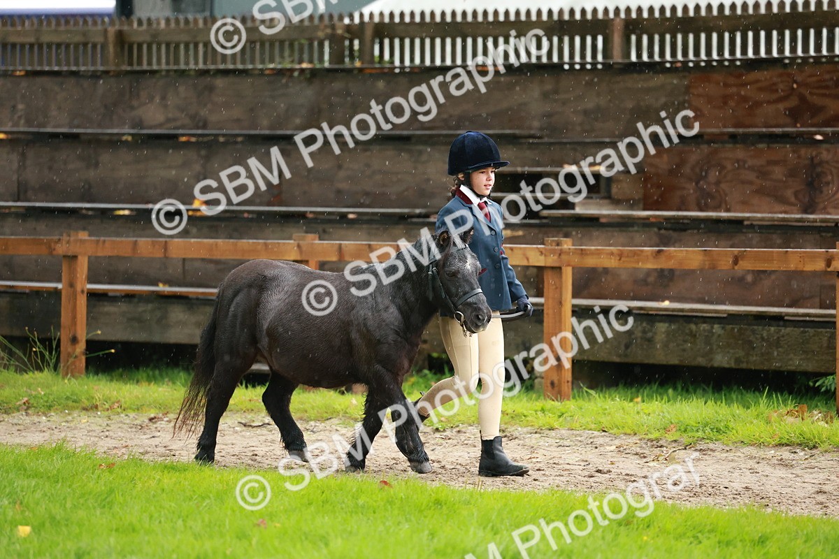 SBM_34848 - S10 - Best In Hand Horse & Pony