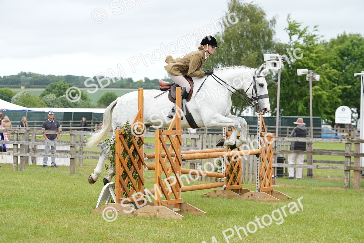 SBM_12531 - Class 97-98 - LIHS BSHA Rising Star Working Show Horse Hunter
