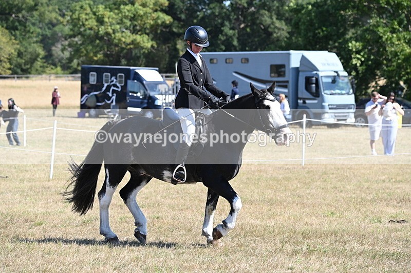 WJ6_8203 - Class 37a Best Loan Pony Ridden