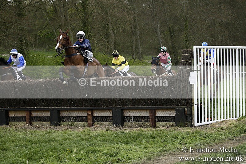 PtP 170417 532 - Old Berks Point-to-Point Lockinge 17/04/17