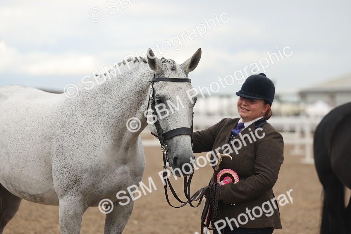 SBM_07953 - Class 28 - IH Veteran Horse