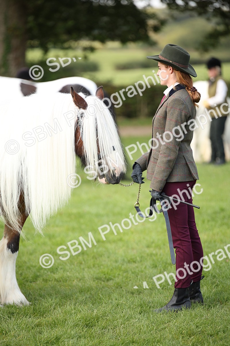 SBM_62280 - S55 - Traditional Cob In Hand