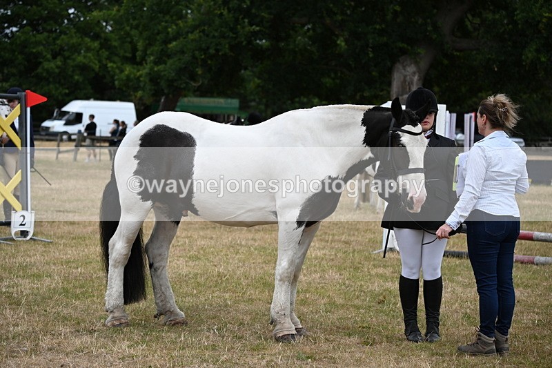 WJ6_4354 - Class 10 Coloured In-hand