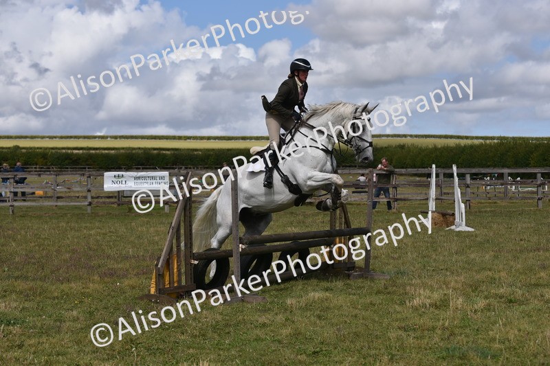 20250831-4117 - Class 13 - Working Hunter Horse or Pony
