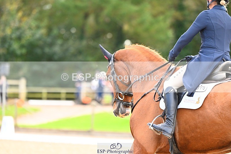 231020-145545-10041 - 311-DALOUBET.MANSOLEIN.Z-Kat.Raybould-DR