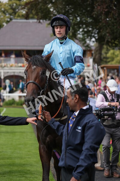 yr18082021r2-39 - Race 2 2.25pm Tattersalls Acomb Stakes