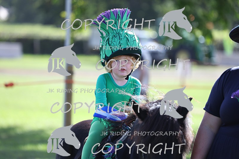 APP_4079 - Class 19 Fancy dress