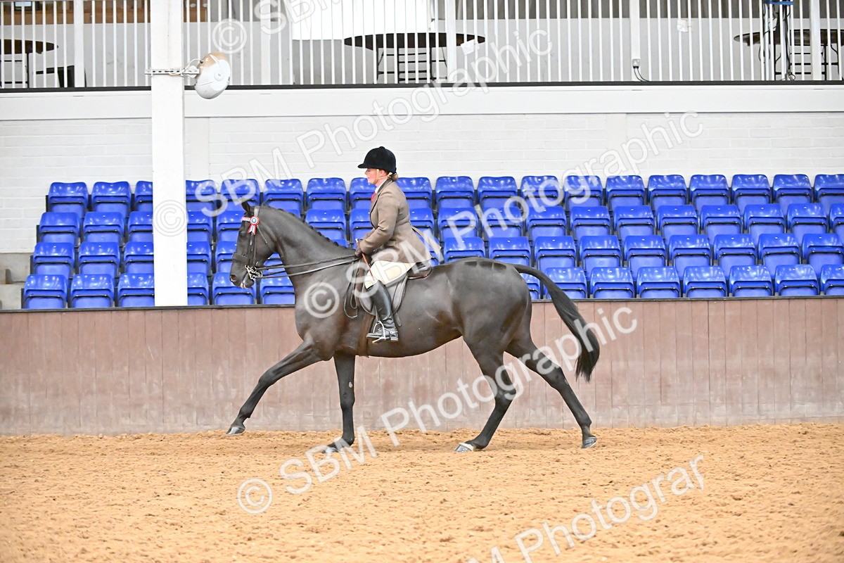 SBM_001942 - Class 25 - Tattersalls ROR Amateur Ridden