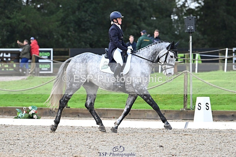 231019-094936-01232 - 028-BOLEYBAWN.COOLEY.LADY-Claire.Fielding-DR