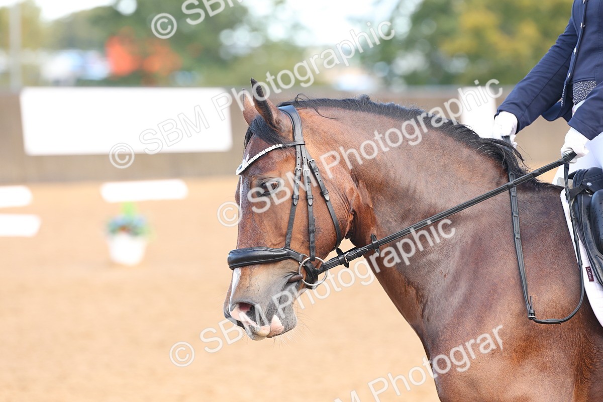 SBM_36762 - D18 - Grand Tour Championship Novice 2