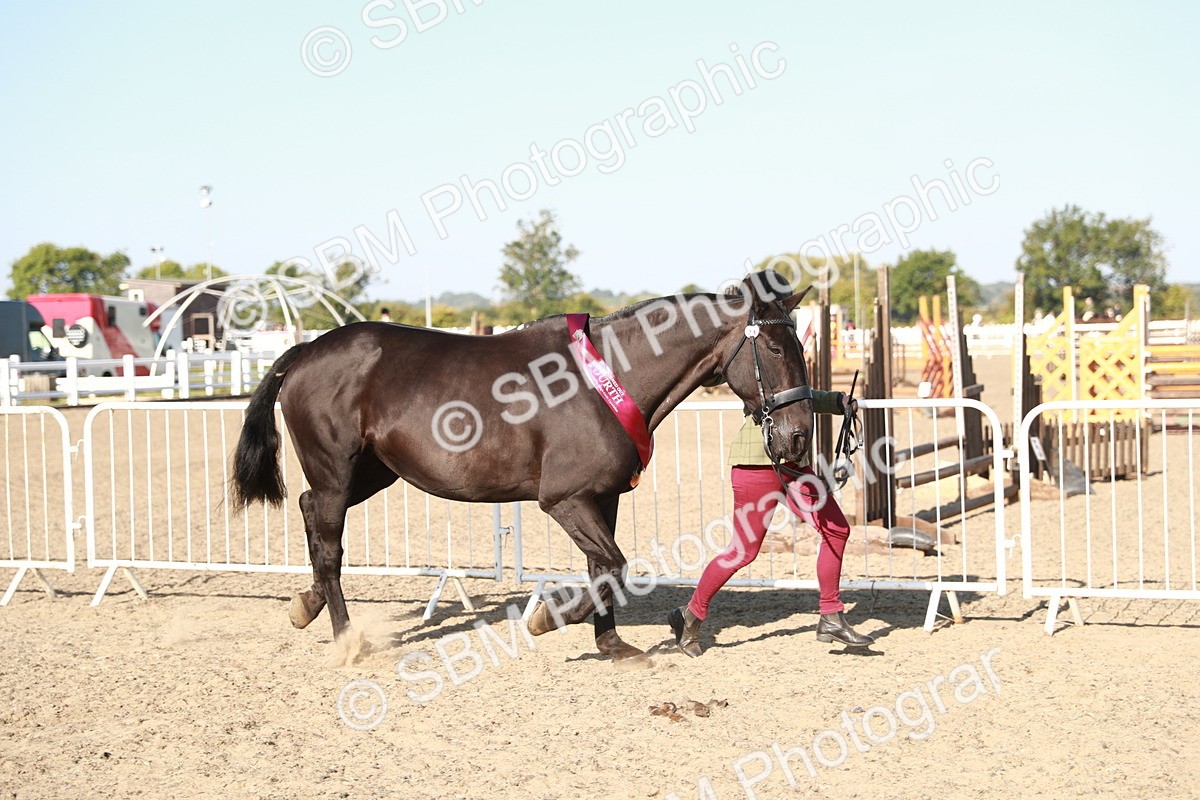 SBM_00177 - Class 40 Best Turned Out IH