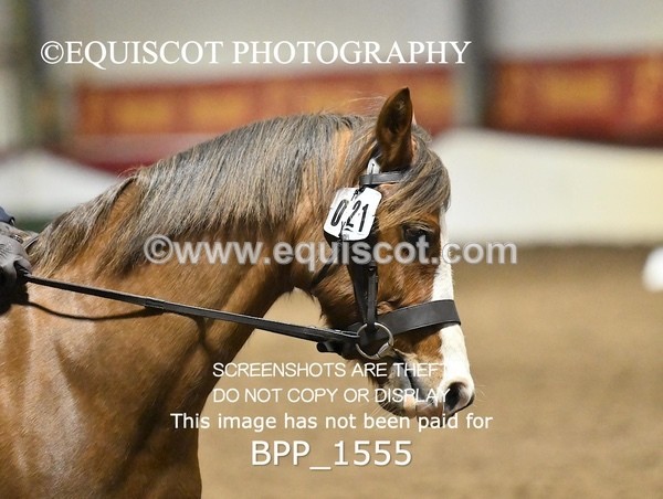 BPP_1555 - PC PRELIM 70