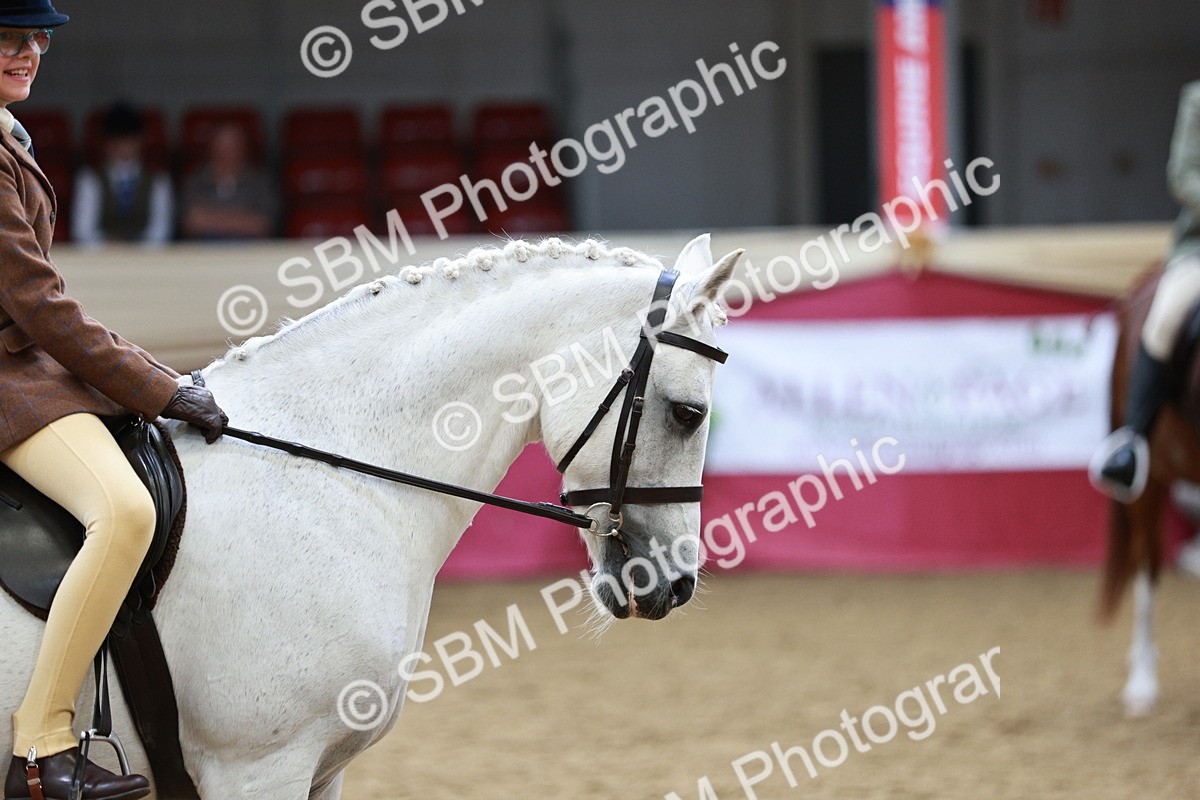 SBM_03018_Class 5a - Area - Ridden Veteran - Vicky Gutteridge
