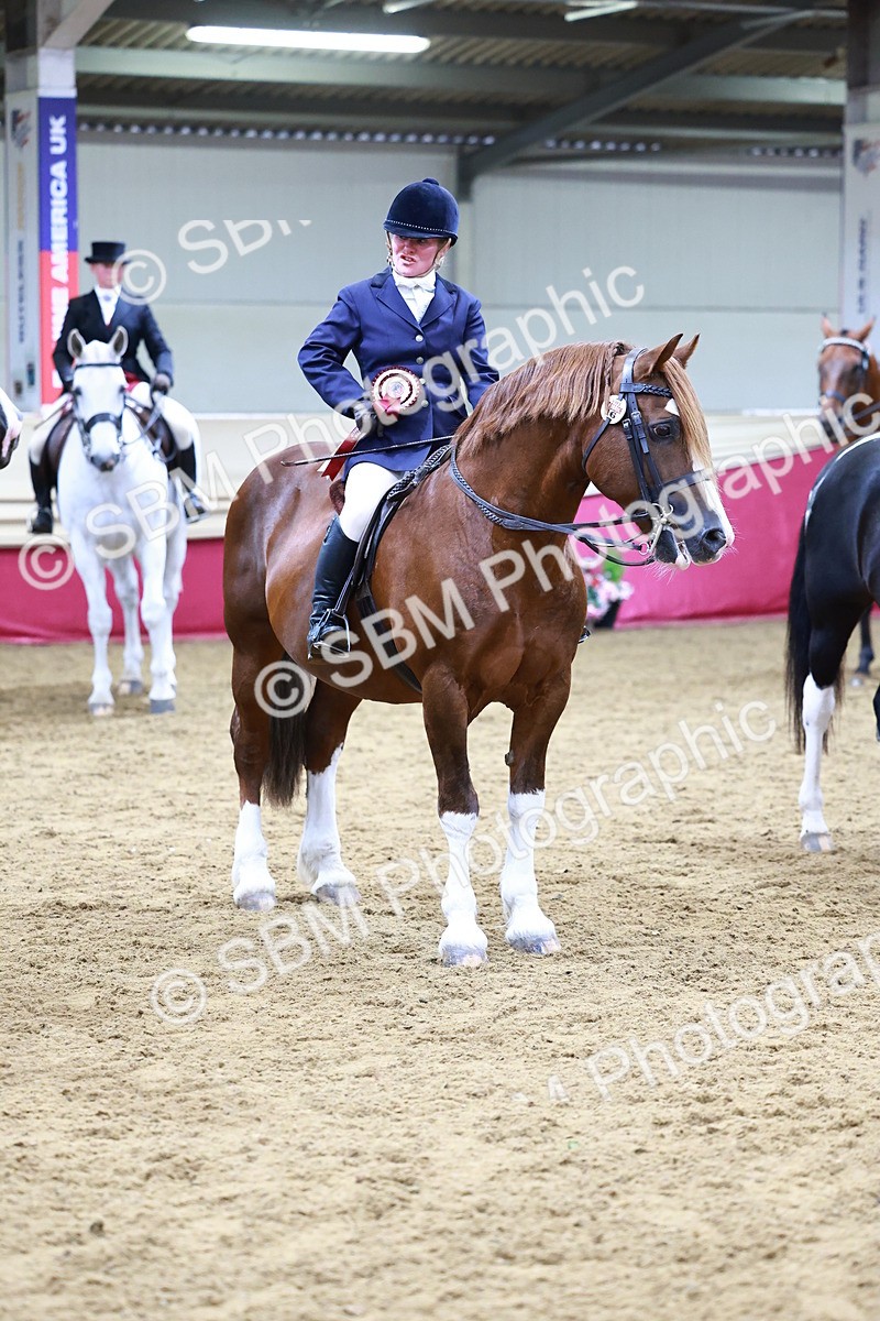 SBM_23546 - class 906 - Supreme Final - Ridden Pre Vet