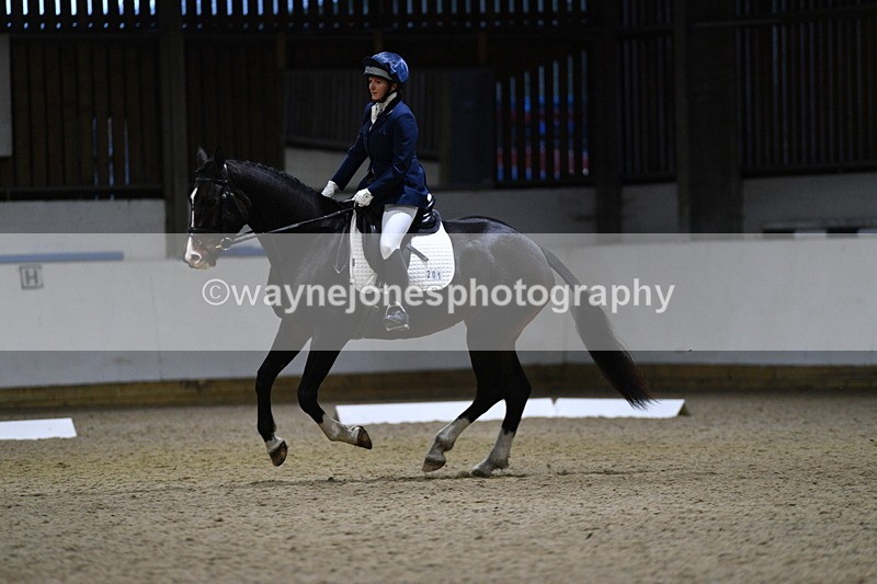 WJ5_8646 - Class 5 Novice Test 3