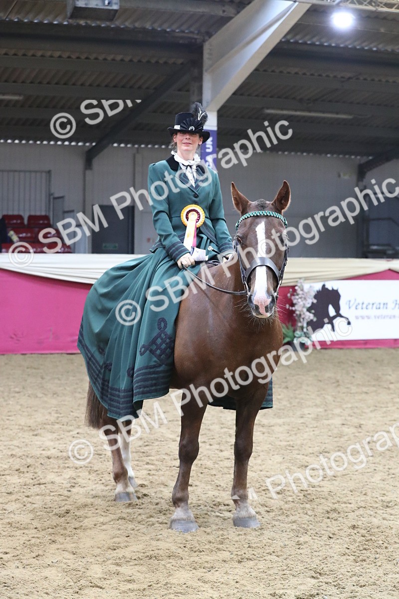 SBM_12194 - Class 107 Ridden Costume- Astride Adult (20+)