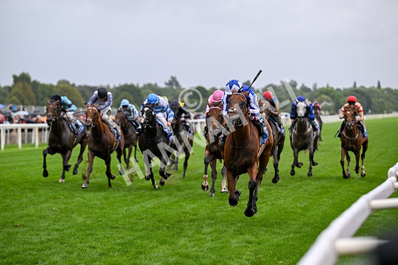 200826-Race 3-The Lost King-3366 - Race 3 15.00pm Sir Kevin Sinfield 7 In 7 Grand Finale Handicap