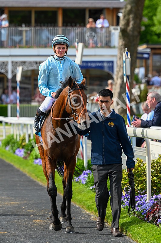 230526-Race 6-Pearl River-7842 - Race 6 16.25pm Royal Yorkshire Regiment Handicap