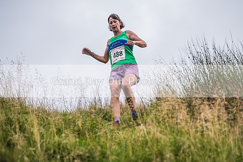 Steel Fell-810 - Steel Fell Race Wednesday 6th August 2025
