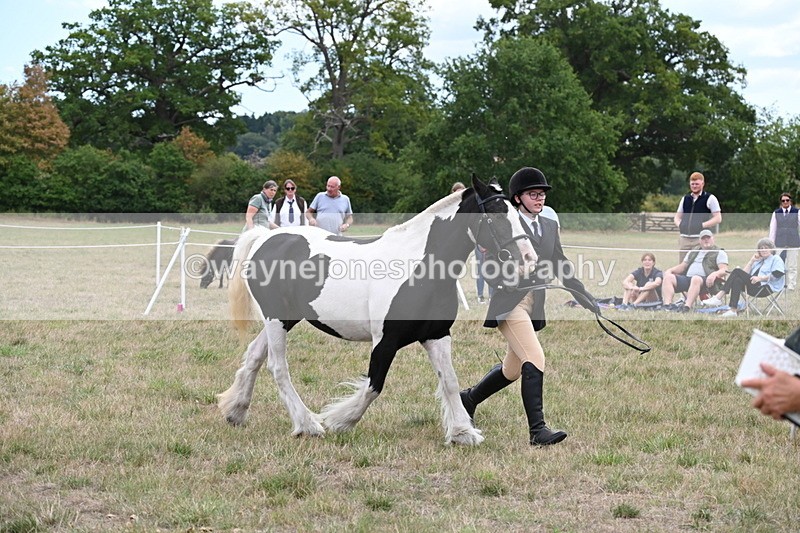 WJ6_5721 - Class 18 In-hand Coloured