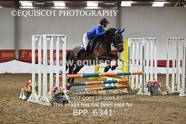 BPP_6341 - CLASS 2  Club/ Unaffiliated 80cms Open