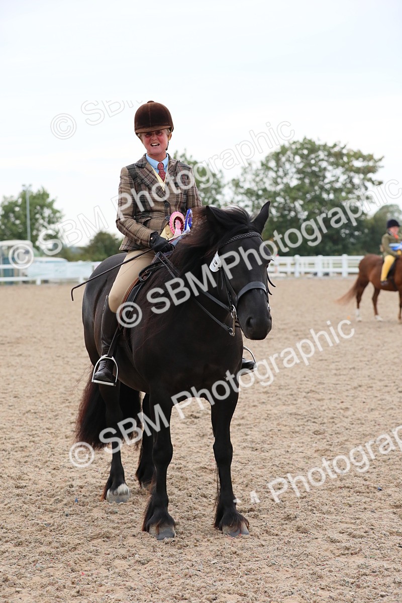 SBM_18253 - Class 316 Best Pony/Rider Combination