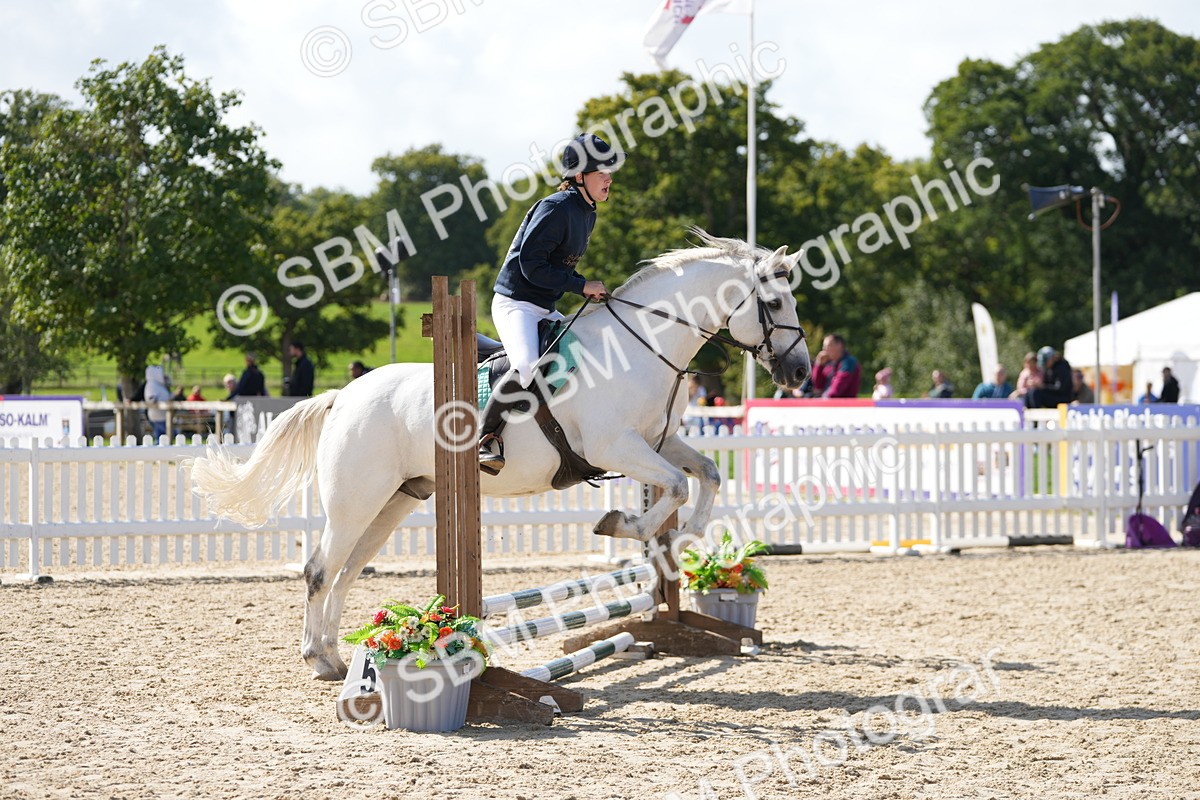 SBM_17944 - J58 - Clear Round 50cm