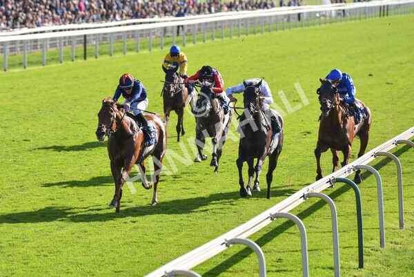 yr08102022r3-42 - Race 3 2.40pm The Coral 'Beaten-by-a-Length' Free Bet Handicap