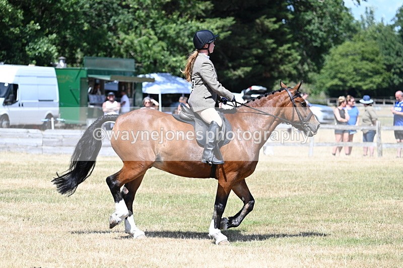 WJ7_3487 - Class 8 Ridden Veterans