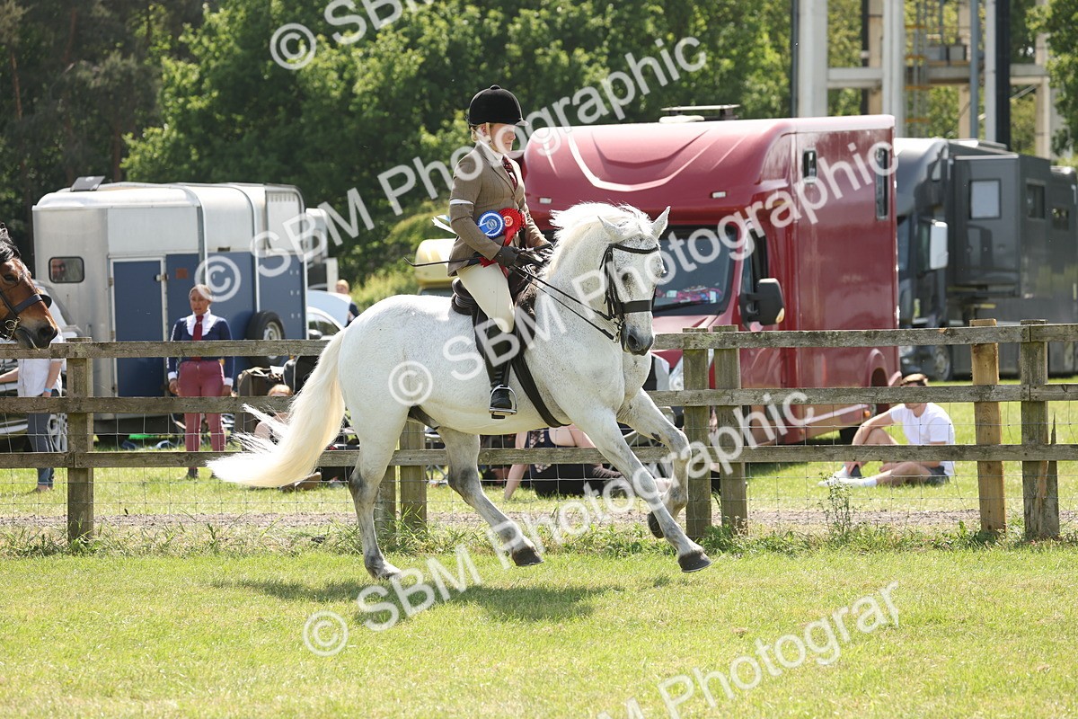SBM_07750 - Class 26-30 - Mountain and Moorland Ridden