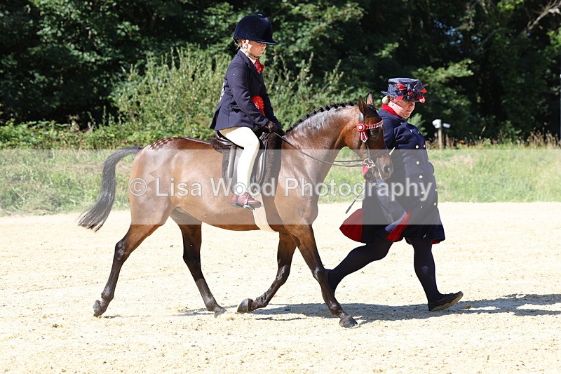 3E7A8073 - Class 15: Lead Rein