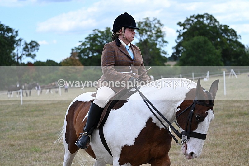 WJ7_5317 - Class 12 Ridden Cob