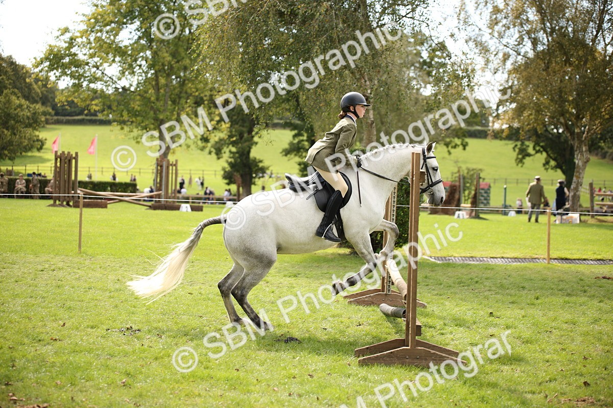 SBM_42324 - S13 - Pony Club Pony