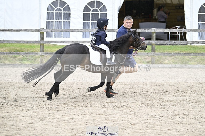 240822X-133959-08344 - 40cm LR R2 13.00 to 15.00