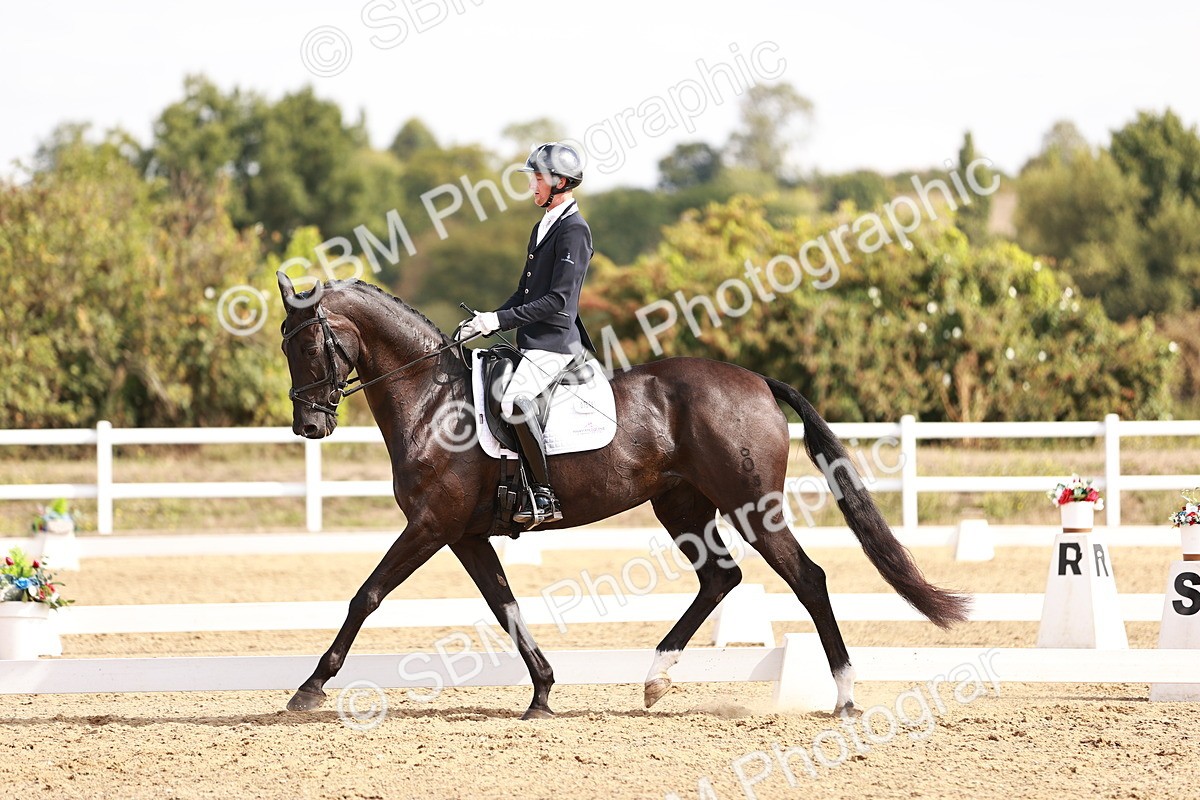 SBM_017619 - Class 11 - Advanced Medium 6