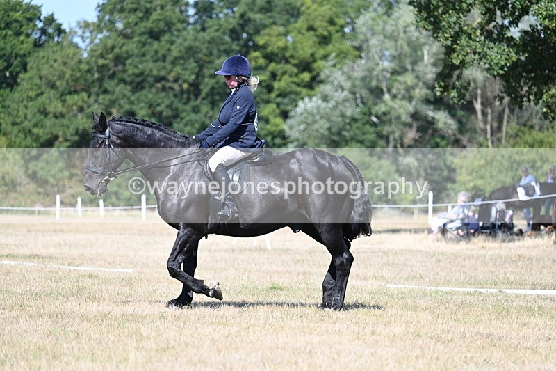 WJ7_9939 - Time 11:03 to 11:28