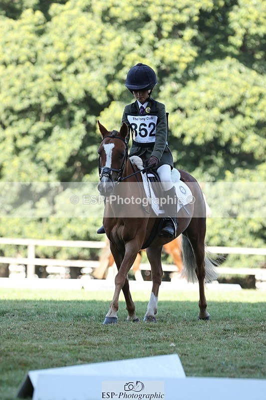 250823A-091708-25910 - Arena D