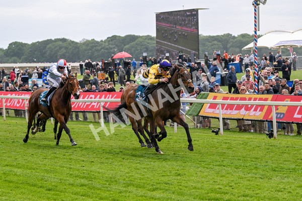 150525-American Affair-3689 - Race 1 2.10pm Lindum York Handicap