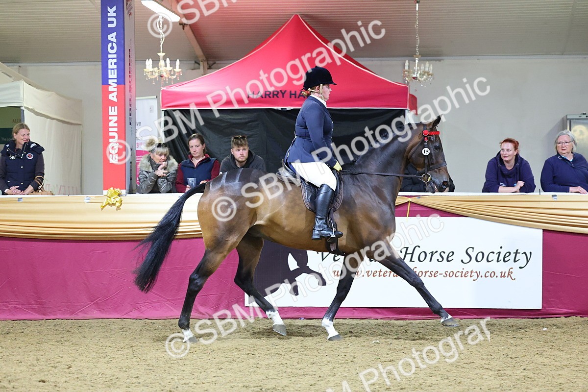 0B8A4291 - Class 108Ridden Retired Racehorse- Final Judging