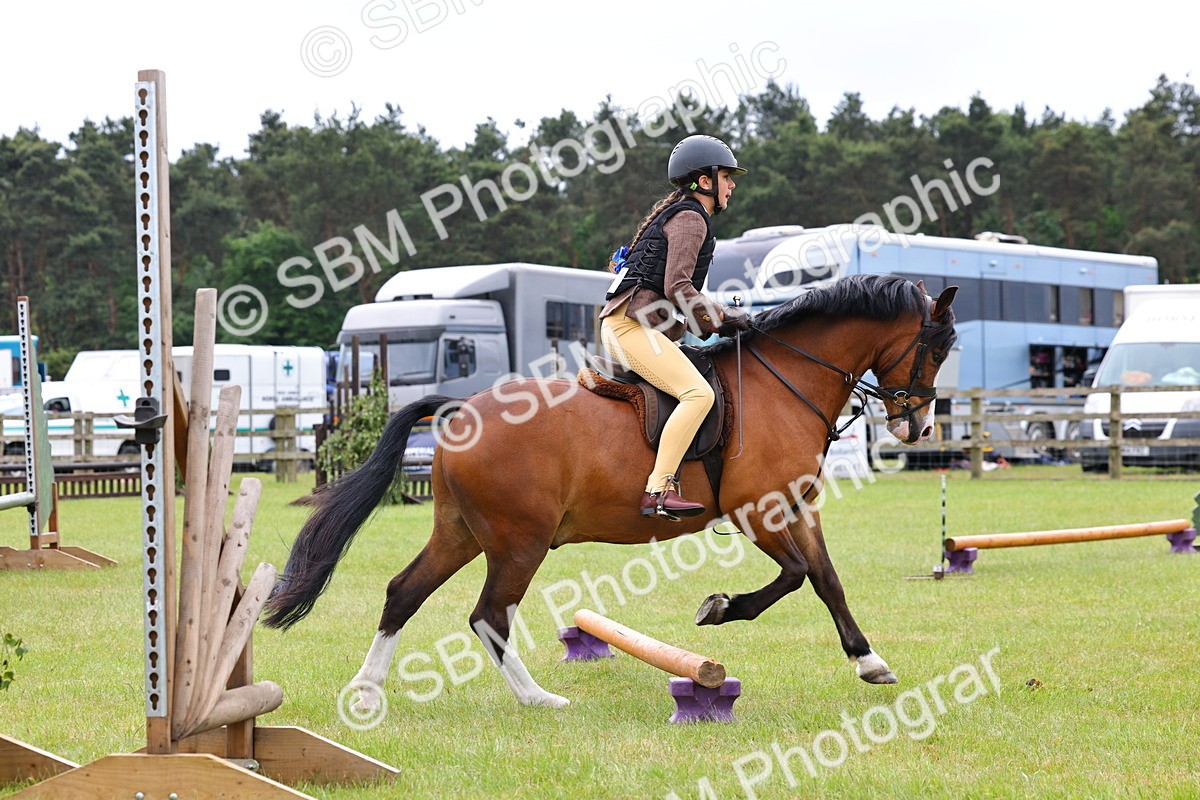 SBM_08615 - Class 42-43 - LIHS BSPS Heritage Working Sports Pony