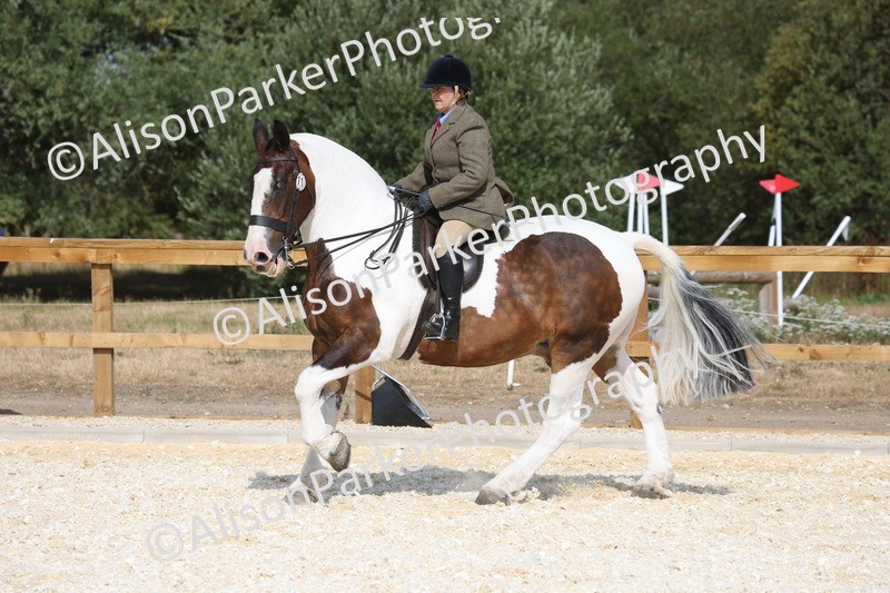 20260802-0454 - Class 6 - Veteran Ridden