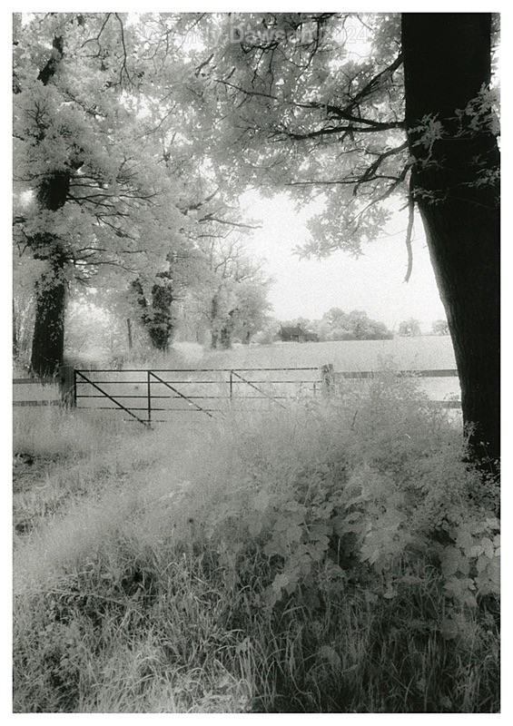 Nettles Fence House - Black & White Pictures