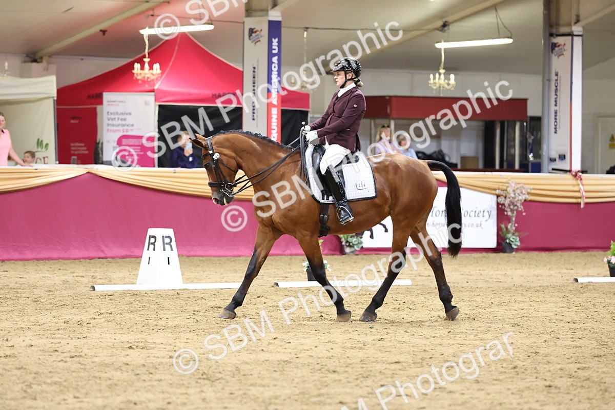 SBM_09285 - Class 51 - Dressage to music