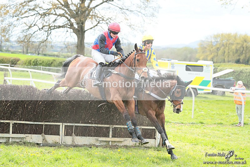 PtP 180426 343 - Worcestershire Hunt PtP Chaddesley Corbett 18/04/26
