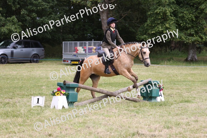 20260614-2951 - Class 22 - Open Working Hunter