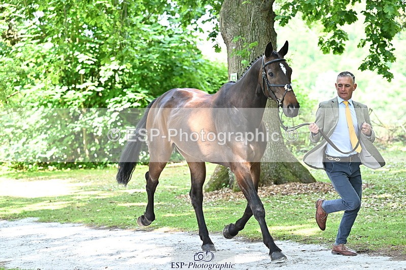 250521A-151501-00369 - B-305-Andrew.James-LANDORADO