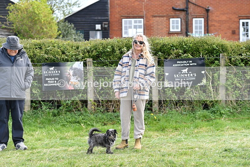 WJ5_0683 - Best in Show Championship